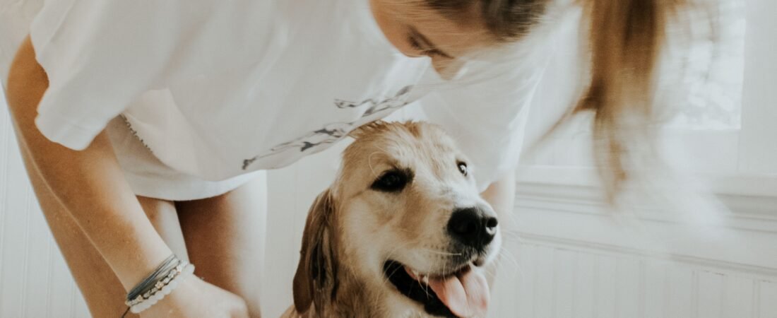 Mantén a tu mascota saludable, cuida su higiene