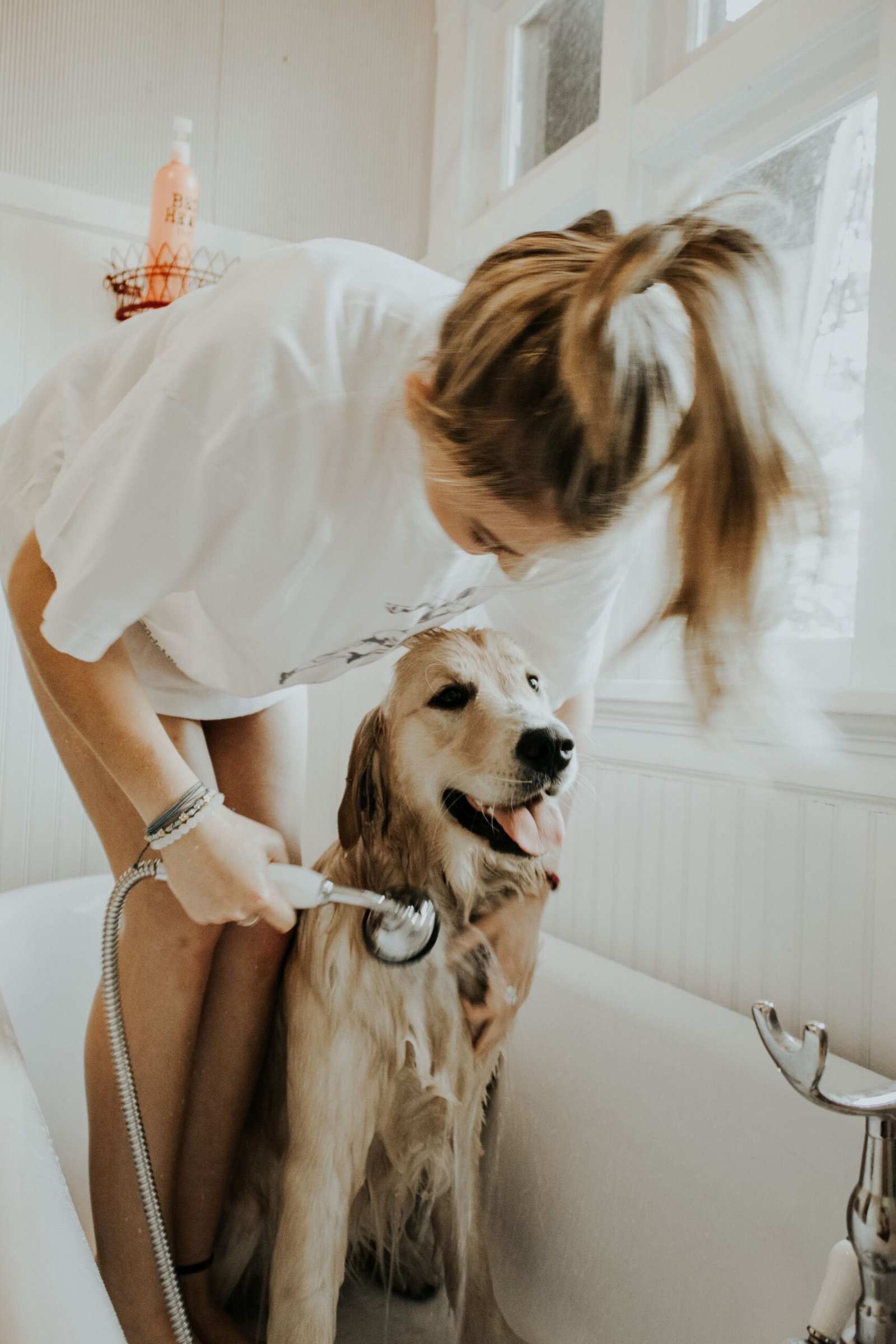 Mantén a tu mascota saludable, cuida su higiene